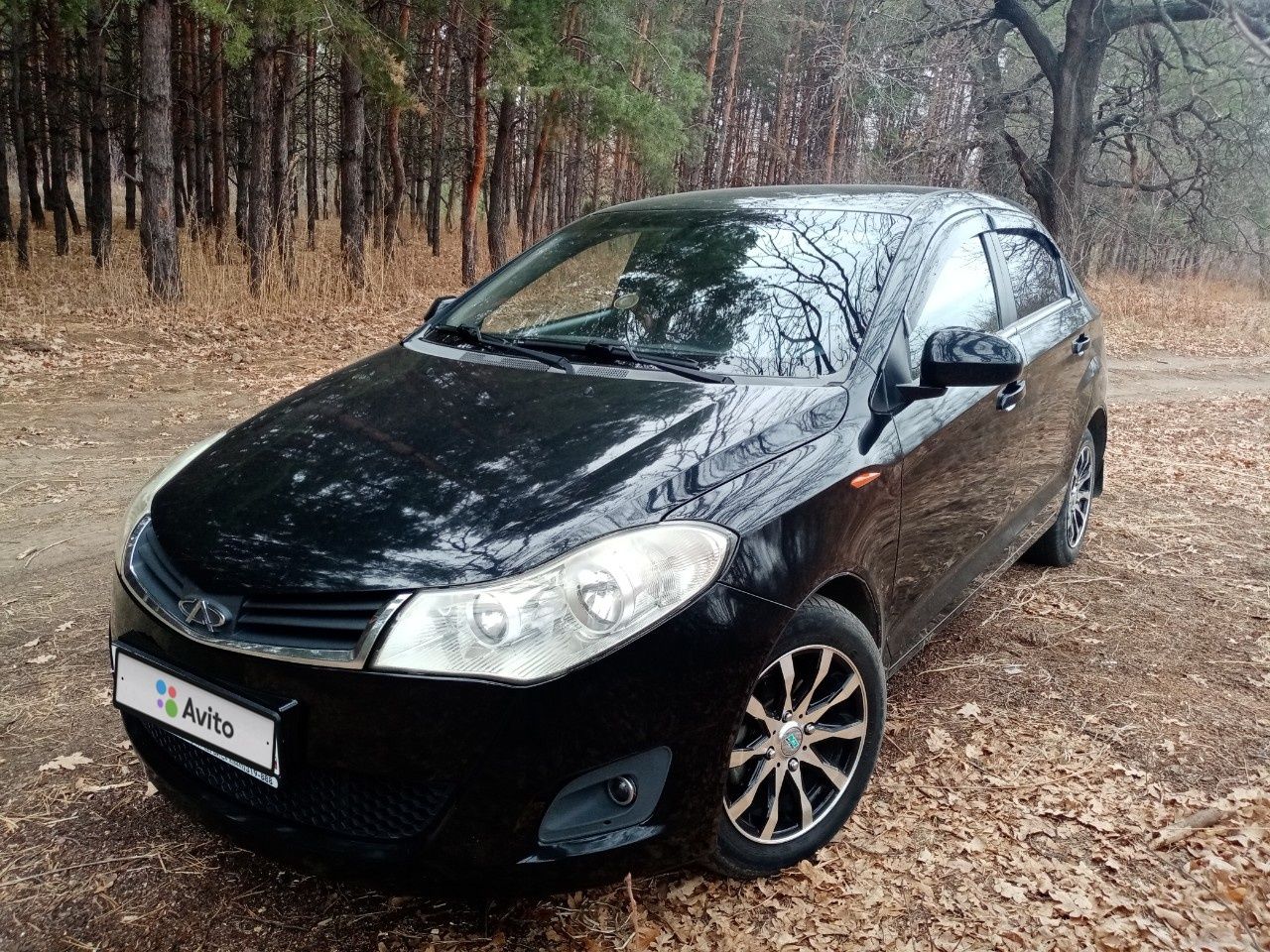 Chery Bonus (A13): фото владельца