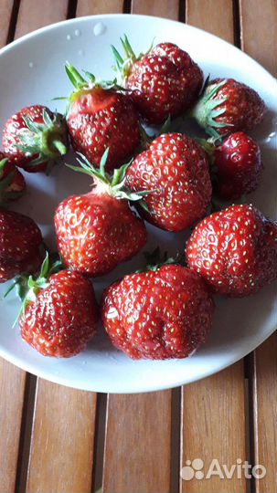 Клюква,Малина,Хризантемы