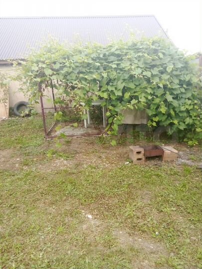 Дом 65,3 м² на участке 8 сот.