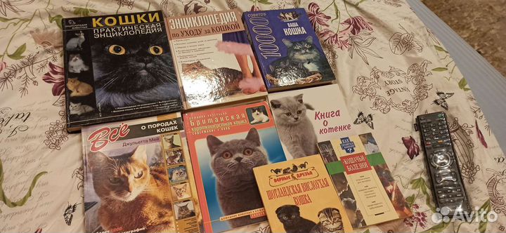 Книги для владельцев кошек