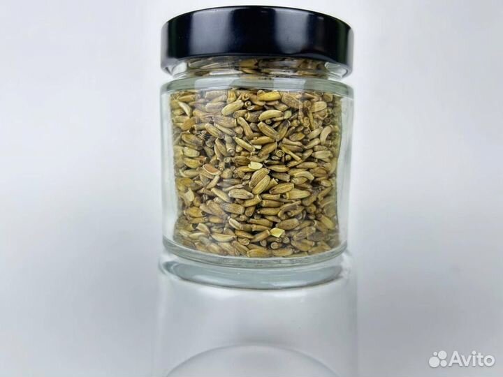 Расторопша / Семечкирасторопши