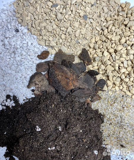 Грунт для суккулентов готовый