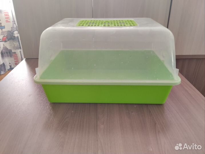 Террариум для улиток