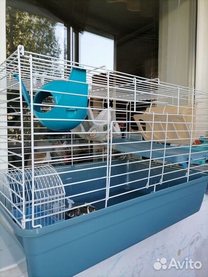 Клетка для грызунов новая