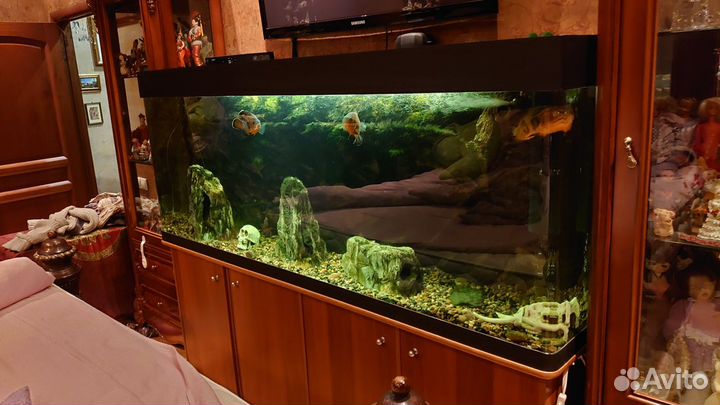 Аквариум в сборе с тумбой и фильтрами