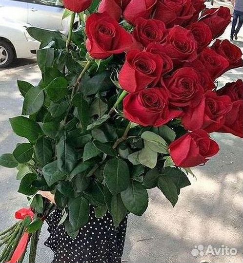 Высокие розы 150 160 170 180 190см доставка Москва