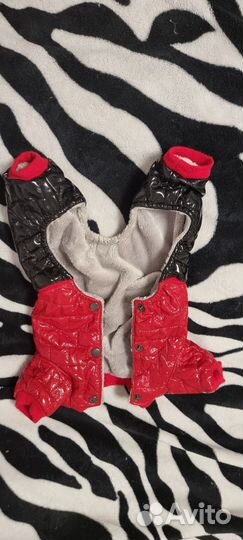 Одежда для маленьких собак