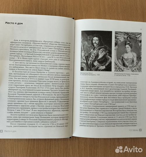 С.С. Шульц, В.А. Склярский. Бродячая собака