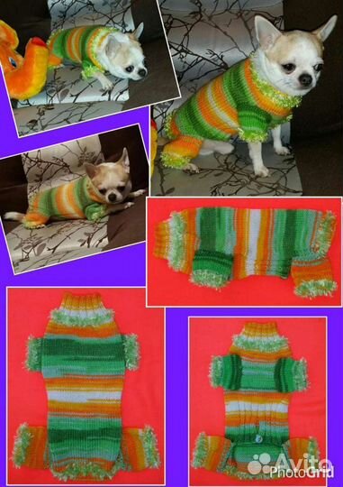 Вязаная одежда для собачек, котов