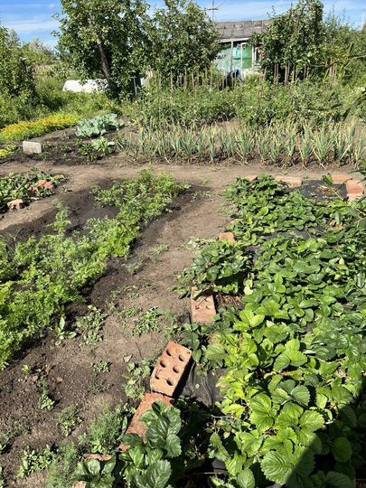 Участок 6 сот. (СНТ, ДНП)