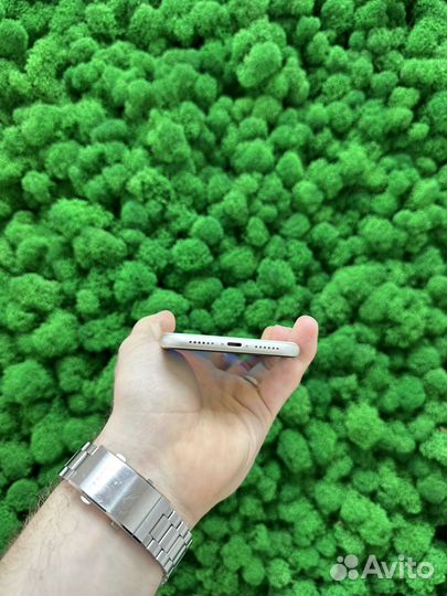 iPhone 11, 256 ГБ