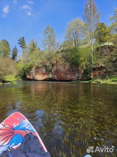 Прогулки на сап бордах и каяках по живописной реке