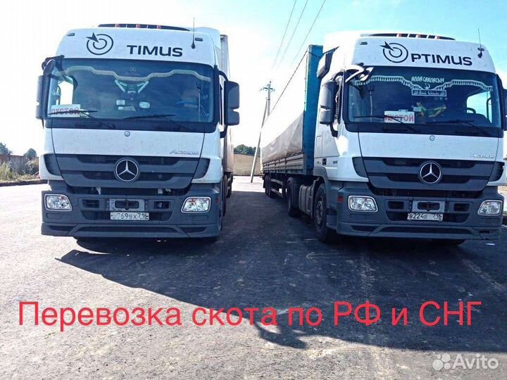 Перевозка крс