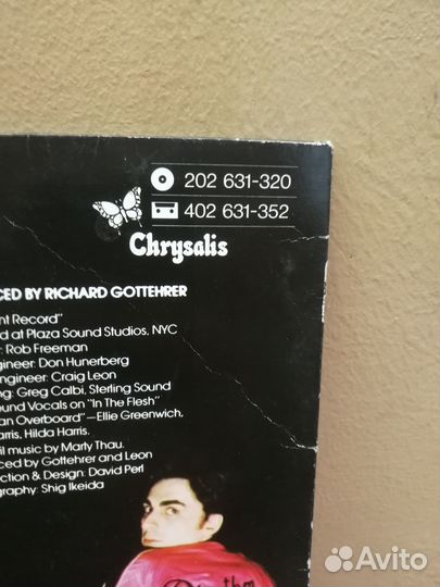 Виниловая пластинка Blondie