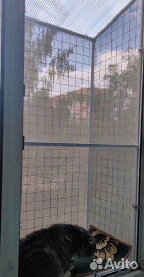 Решетка Антикошка на окна