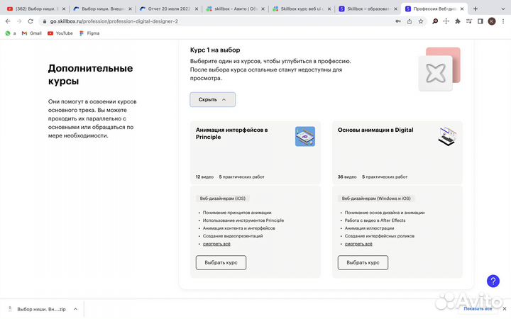 Обучение курсы Skillbox Профессия Веб-дизайнер