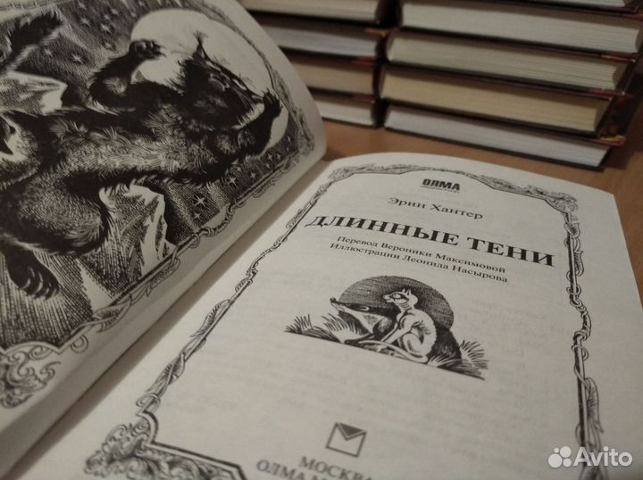 Книги серии 