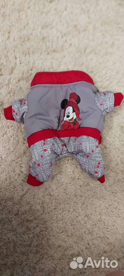 Комбинезон для животных