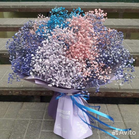 Цветы гипсофилы