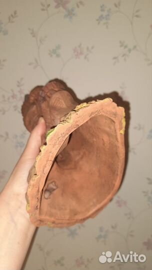 Растения искуств, медуза, щетка