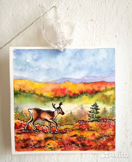 Акварельные рисунки