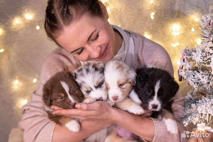 Кинолог с выездом