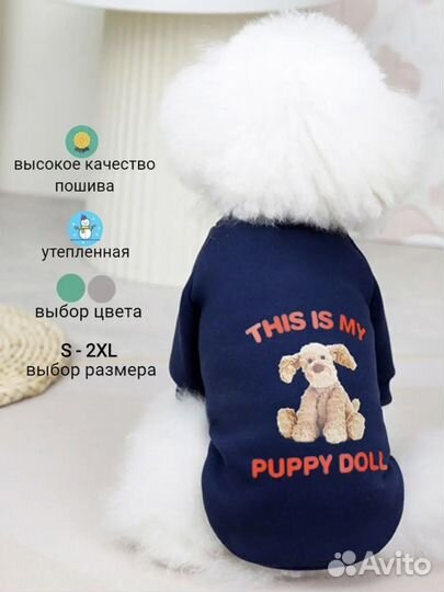 Одежда для собак и кошек
