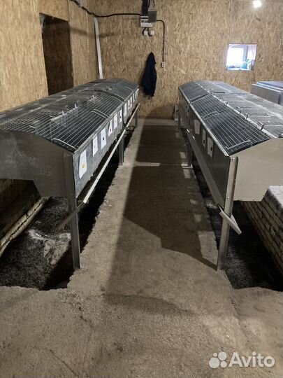 Кролики, Клетки