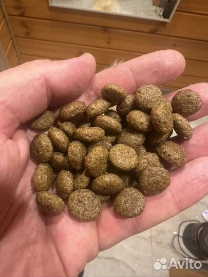 Сухой корм для собак