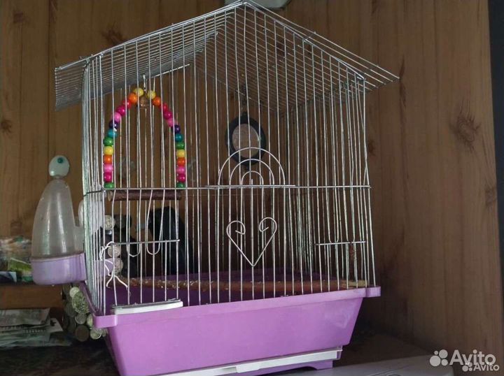 Клетка для попугая