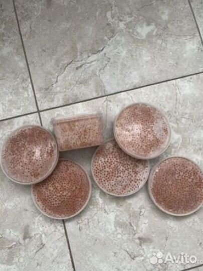 Красная икра