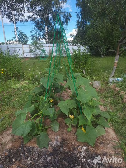 Шпалера для огурцов