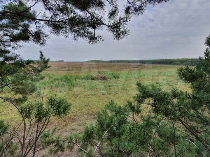 Участок 22 га (СНТ, ДНП)