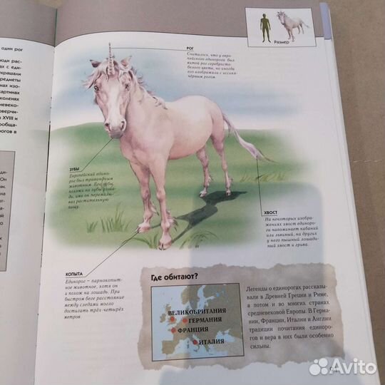 Книга энциклопедия