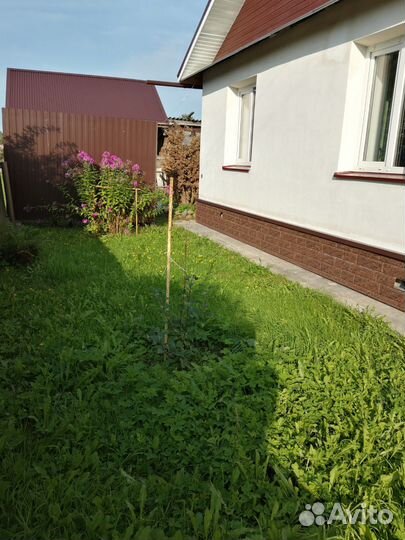 Покос травы бензокосой, спил кустарника