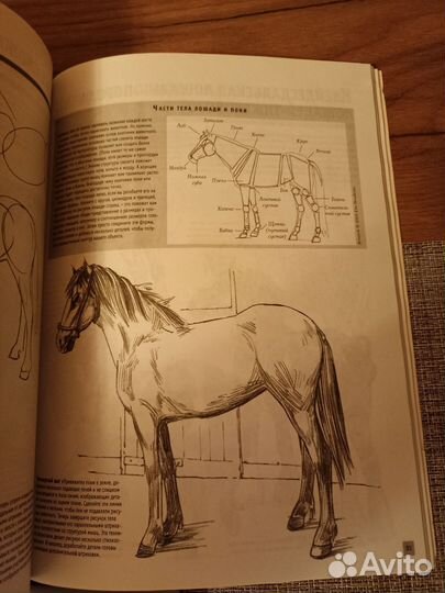 Детские книги по рисованию