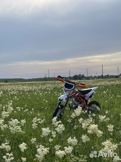 Kayo basic tt 125