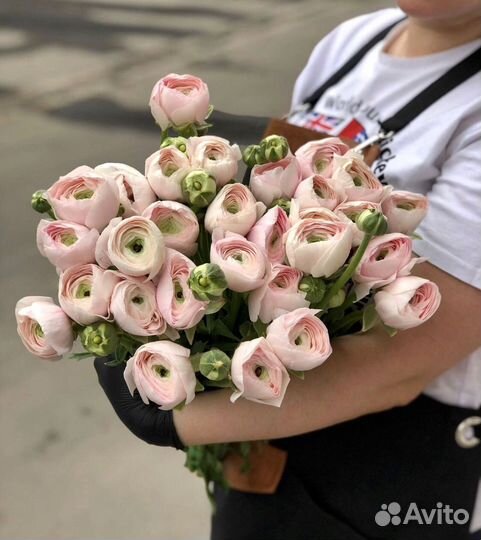 Ранункулюс цветы