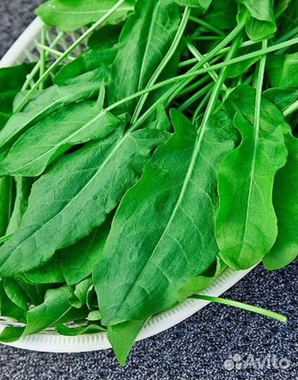Доставка продуктов на дом