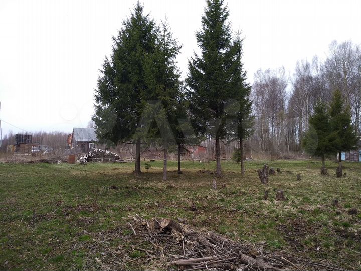 Участок 20 сот. (СНТ, ДНП)