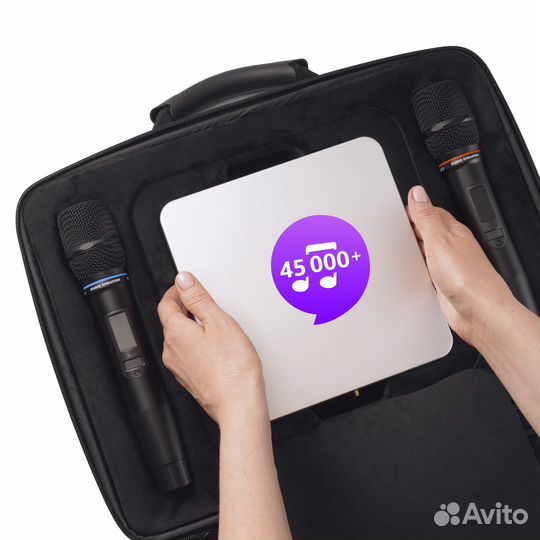 Караоке EvoBox Plus Silver с микрофонами + EvoCase