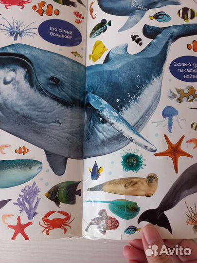 Большая книга малыша -животные от clever