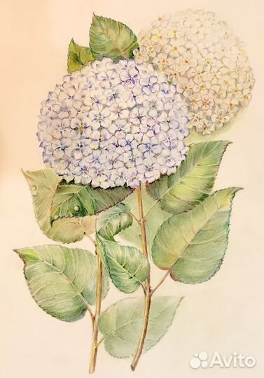 Картины графика