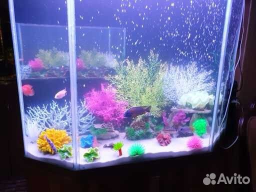 Аквариум 200 Л