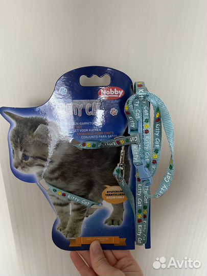 Шлейка для котят