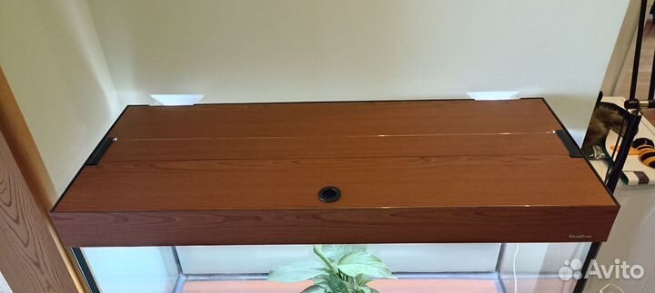 Аквариум на 200 литров