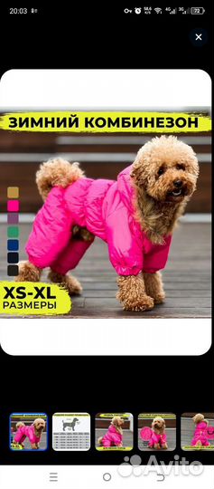 Комбинезон для животных