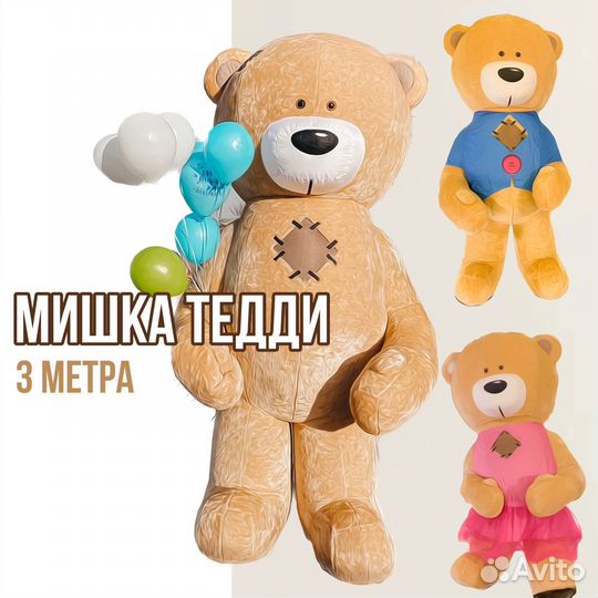 Живая открытка поздравление от мишки Тедди