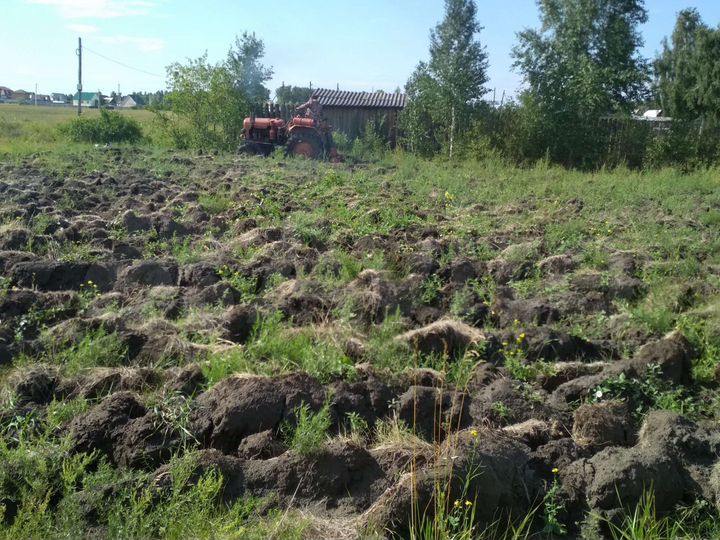 Участок 6 сот. (СНТ, ДНП)