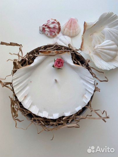 Свеча в морской раковине/в ракушке